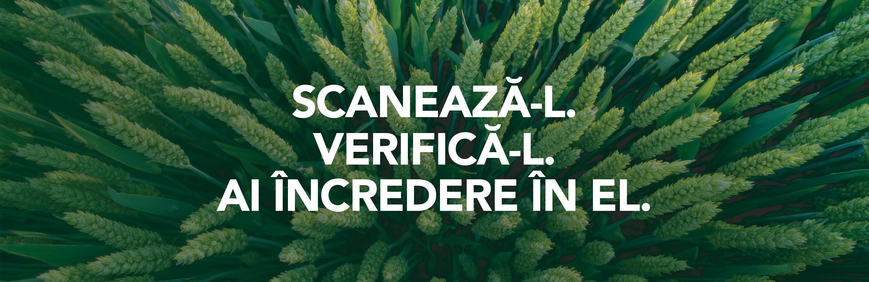 scantrust