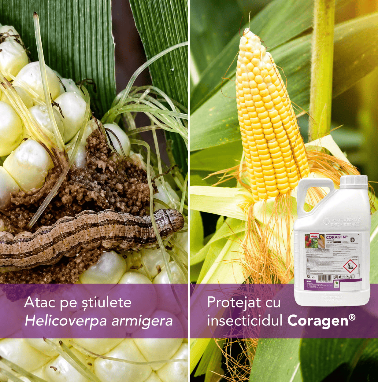 Comparativ