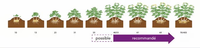 Coragen crop protection timeline