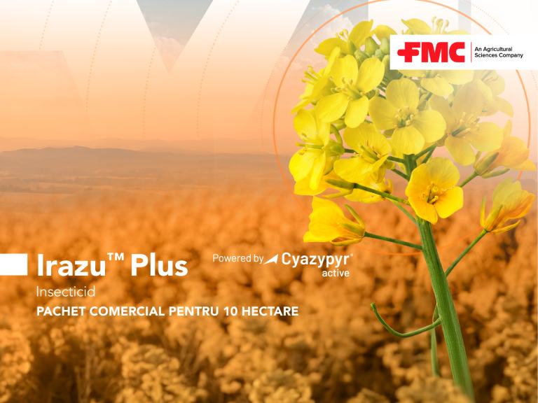 Irazu Plus