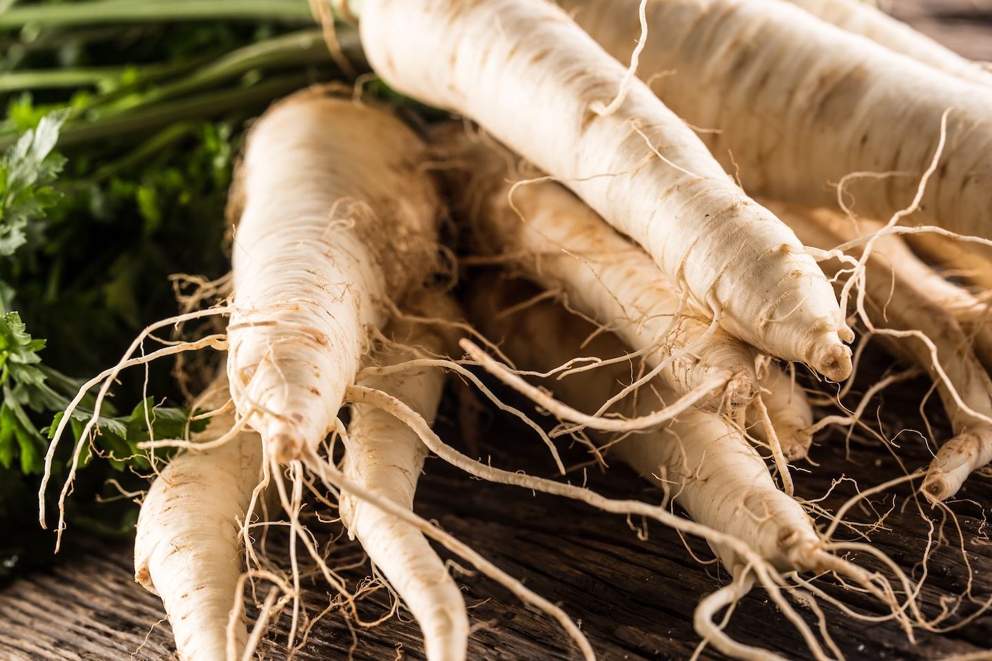 Parsnip
