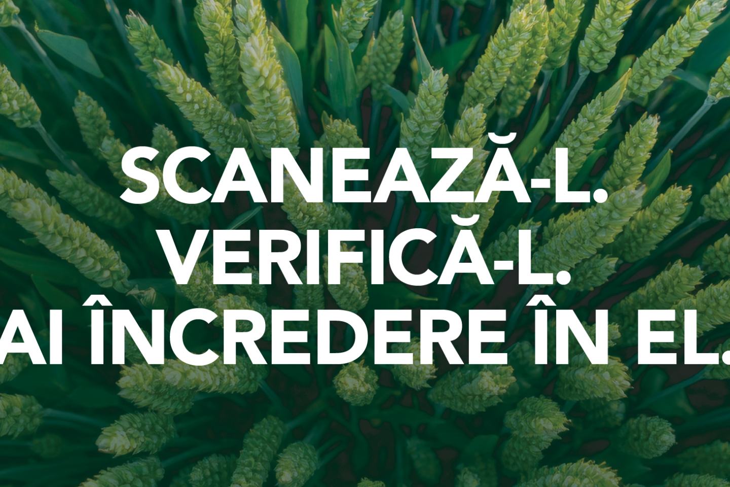 scantrust
