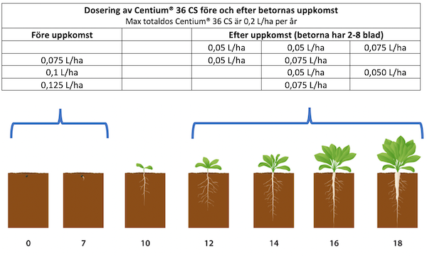 Tabel Centium i betor