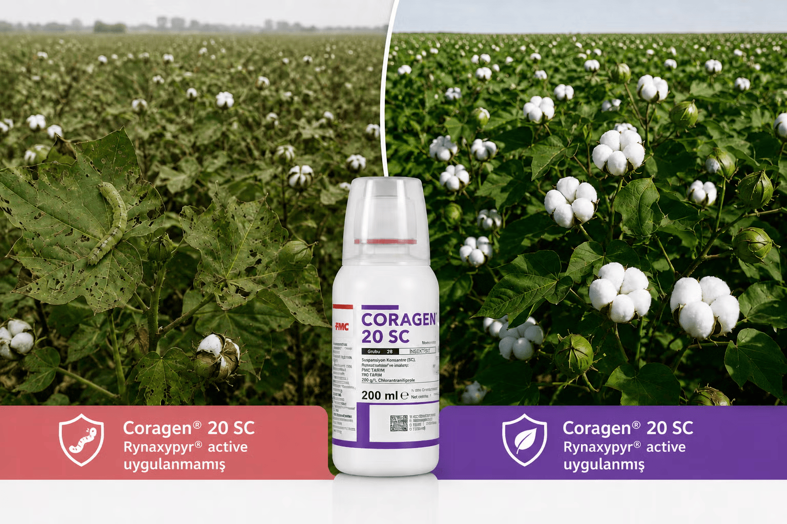 Coragen product comparison