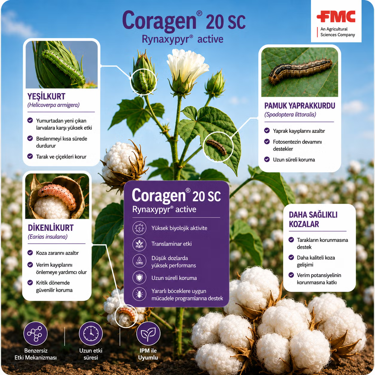 Superior efficacy throughout crop cycle