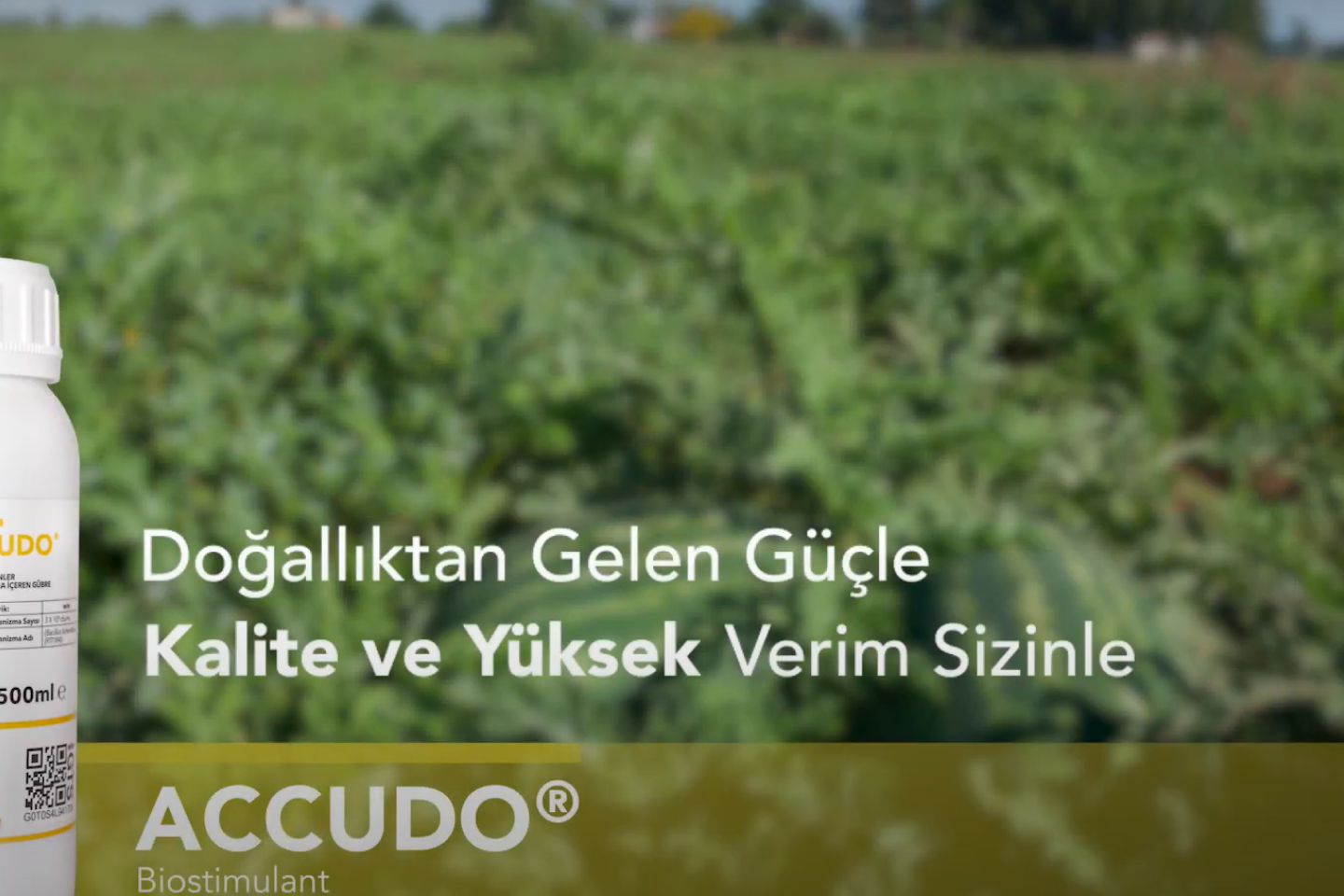 Doğallıktan Gelen Güçle Kalite ve Yüksek Verim Sizinle - Accudo®