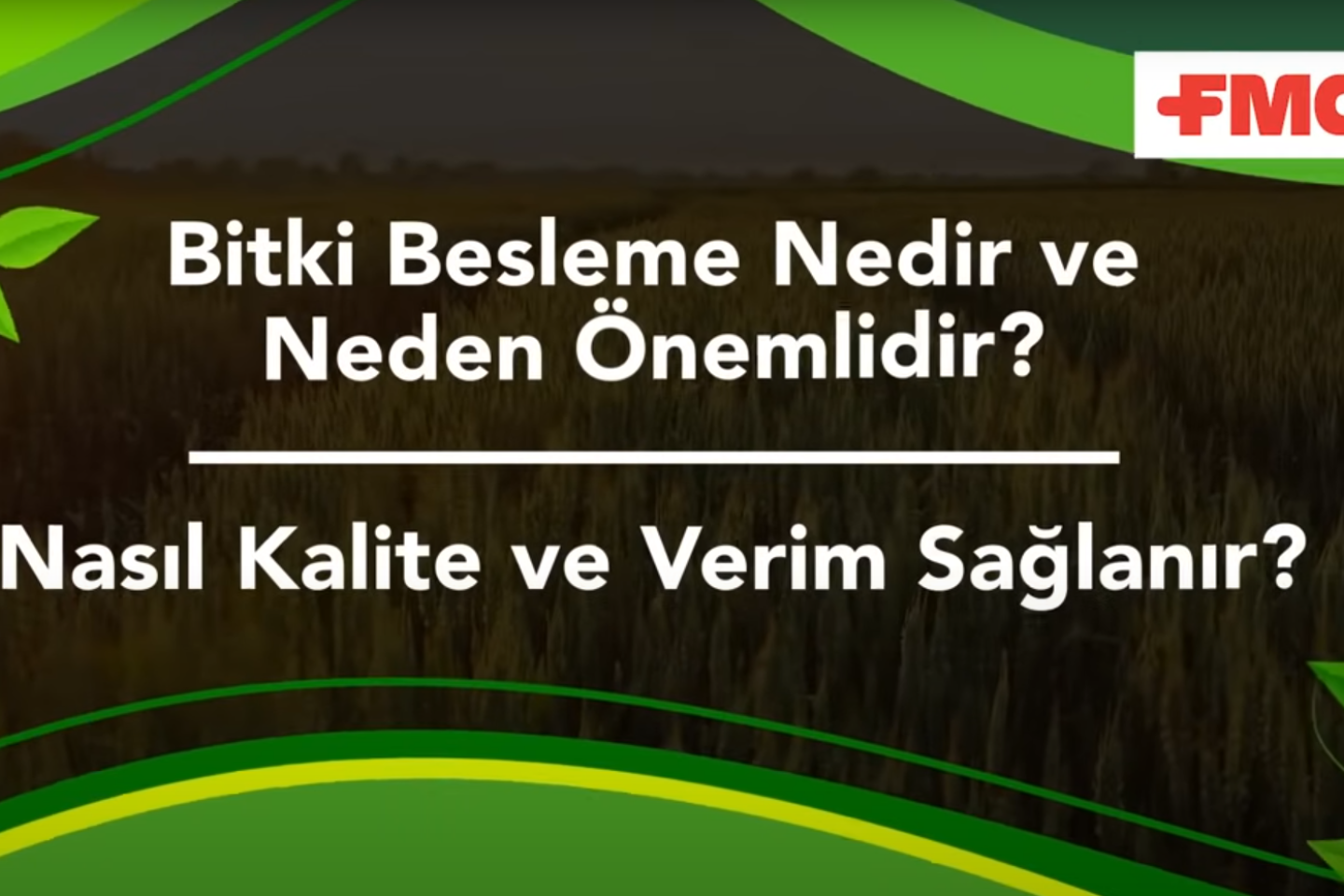 FMC TURKEY | Bitki Besleme Nedir ve Neden Önemlidir? | Nasıl Kalite ve Verim Sağlanır?
