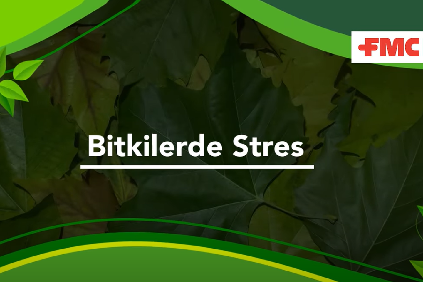 FMC TURKEY | Bitkilerde Stres