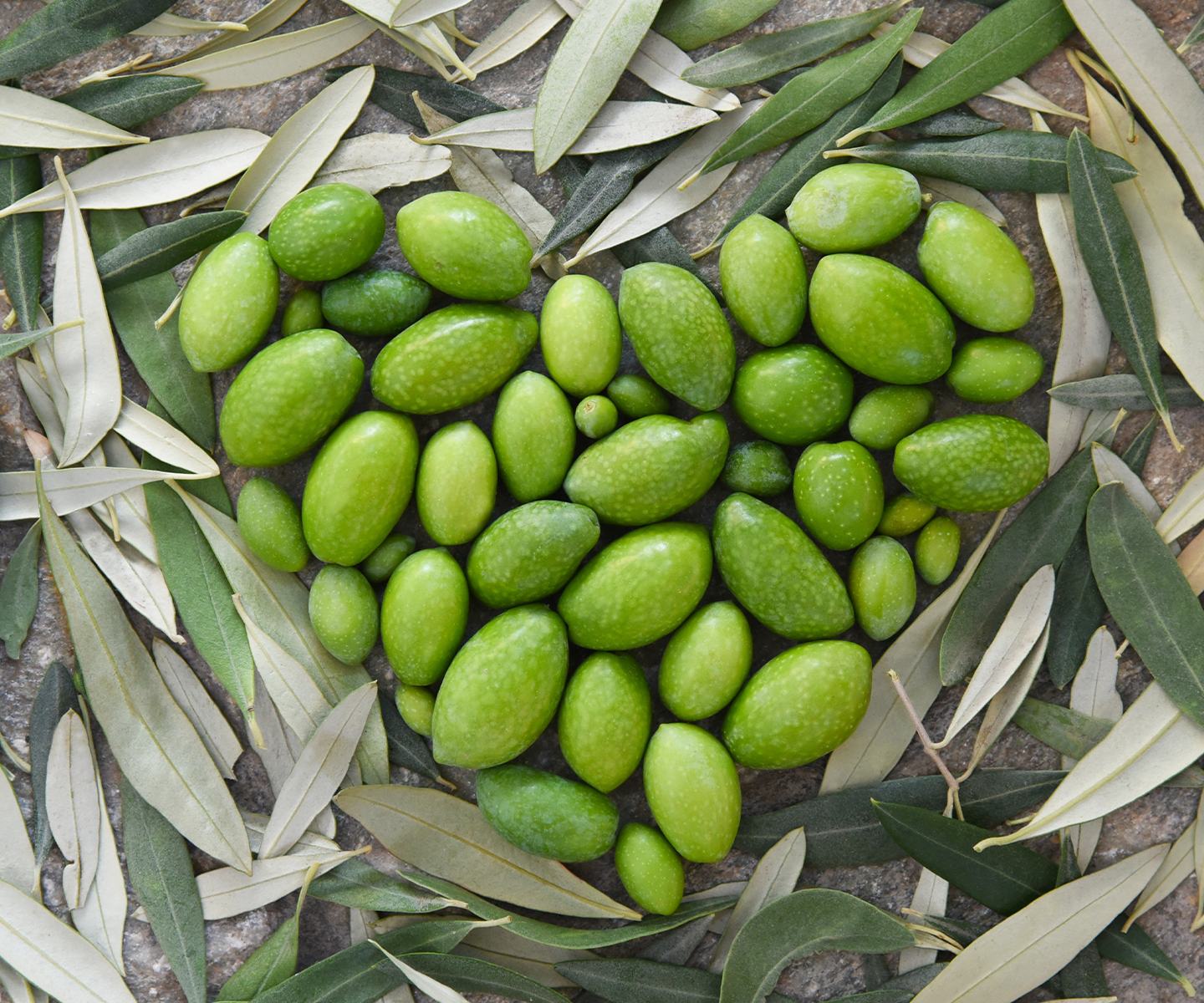 Zeytin