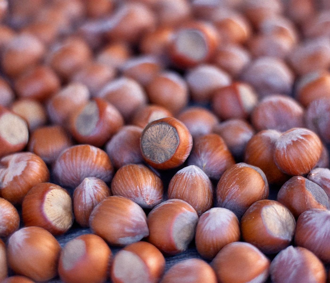 Fındık