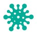 Mold Spore