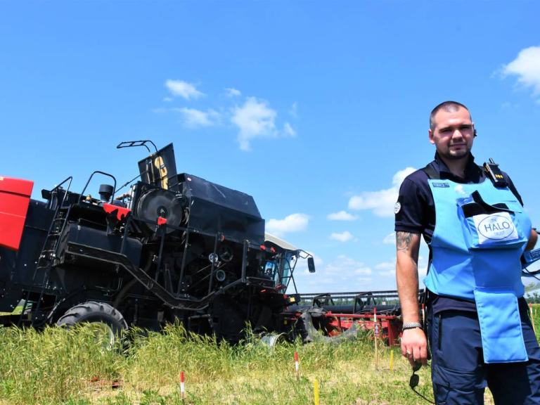 Розмінування