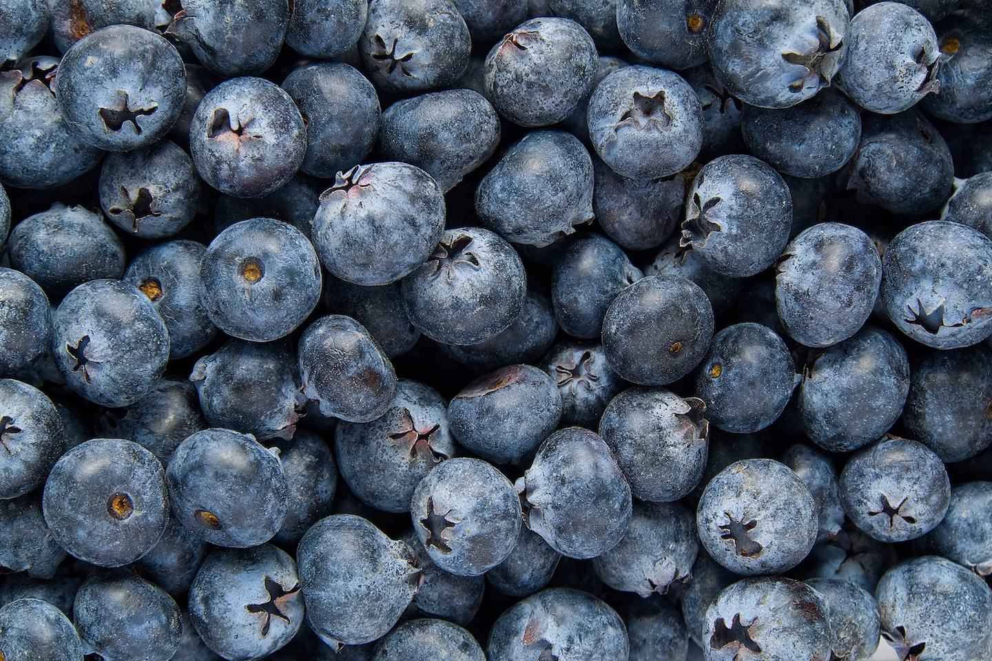 Blueberry