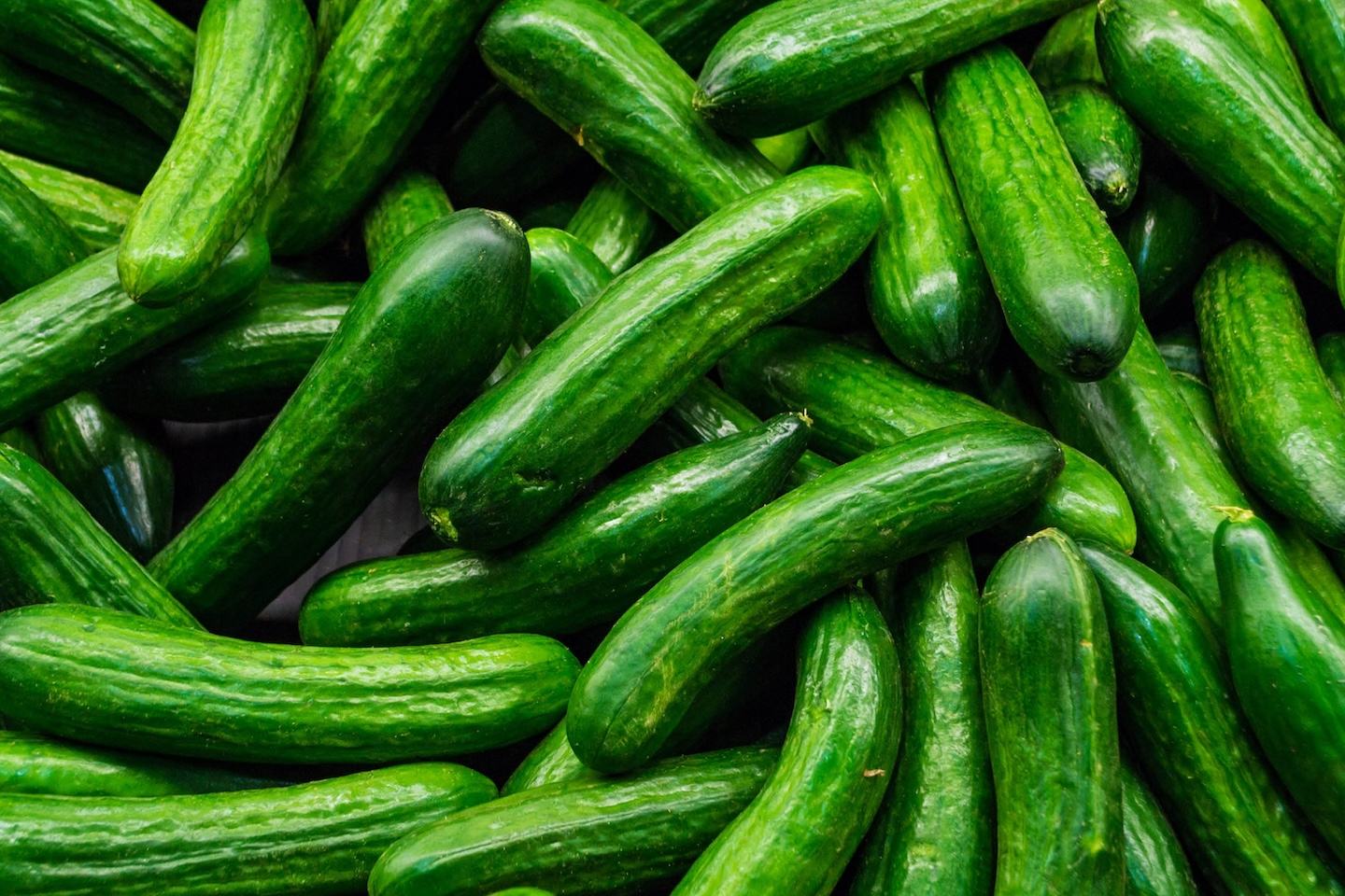 Cucumber