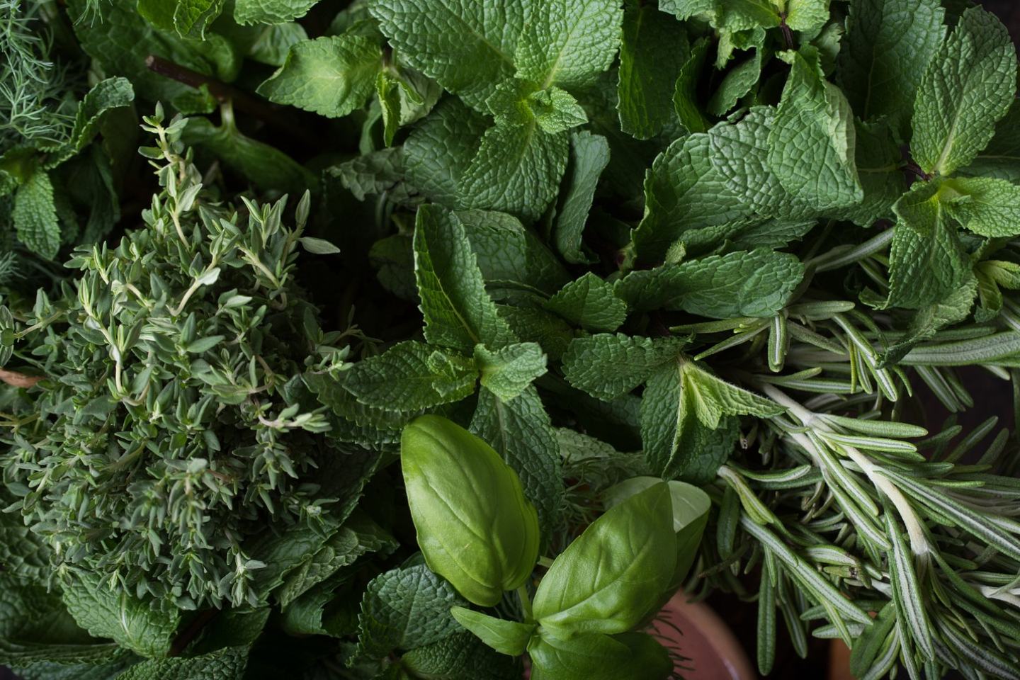Mixed herbs