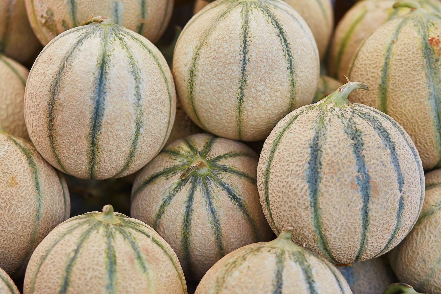 Melons