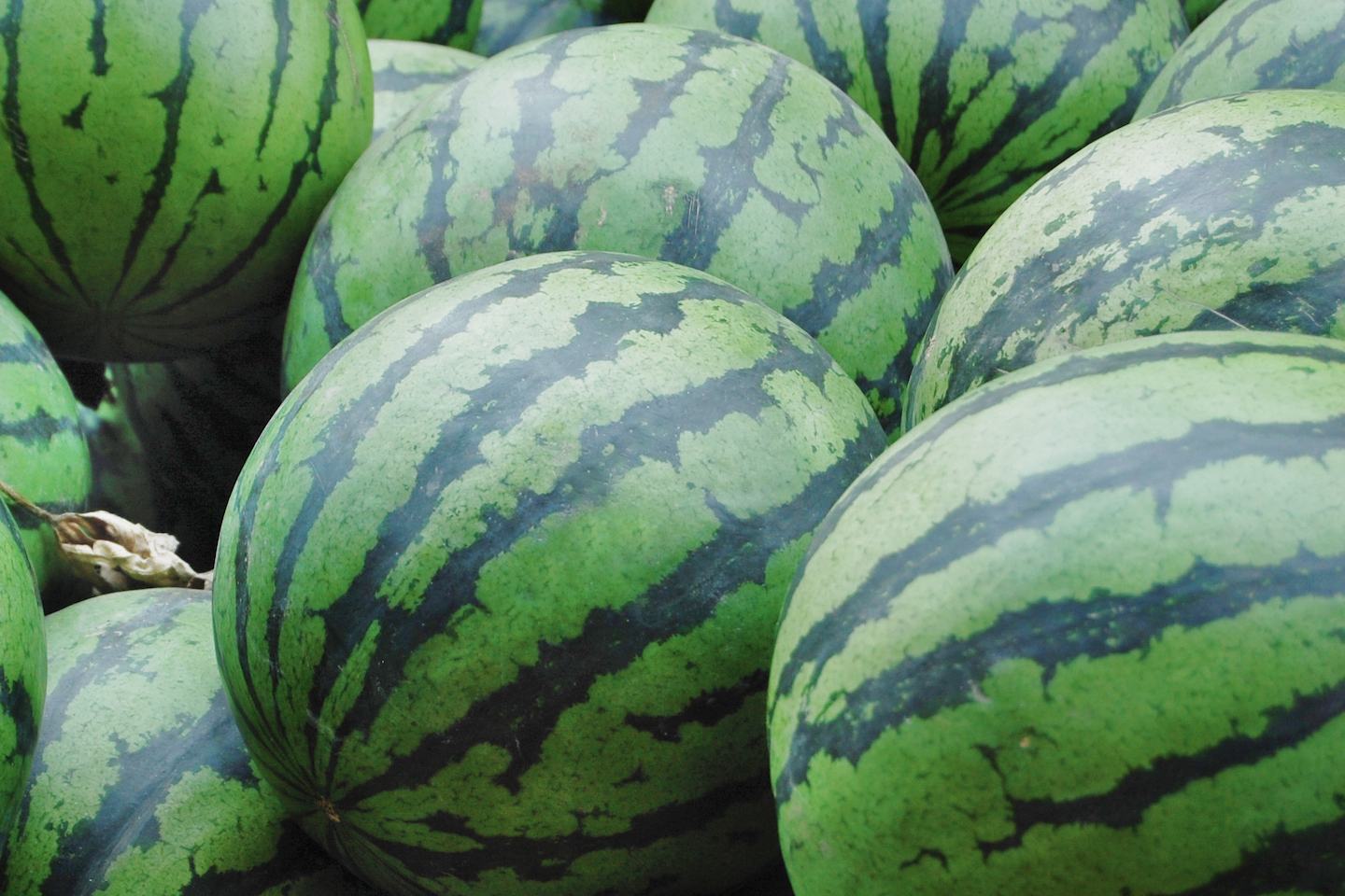 Watermelons