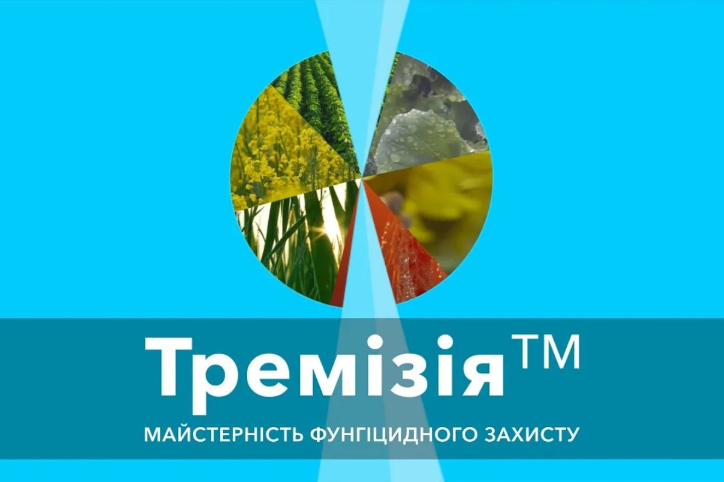 Тремізія карта