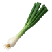 Onion