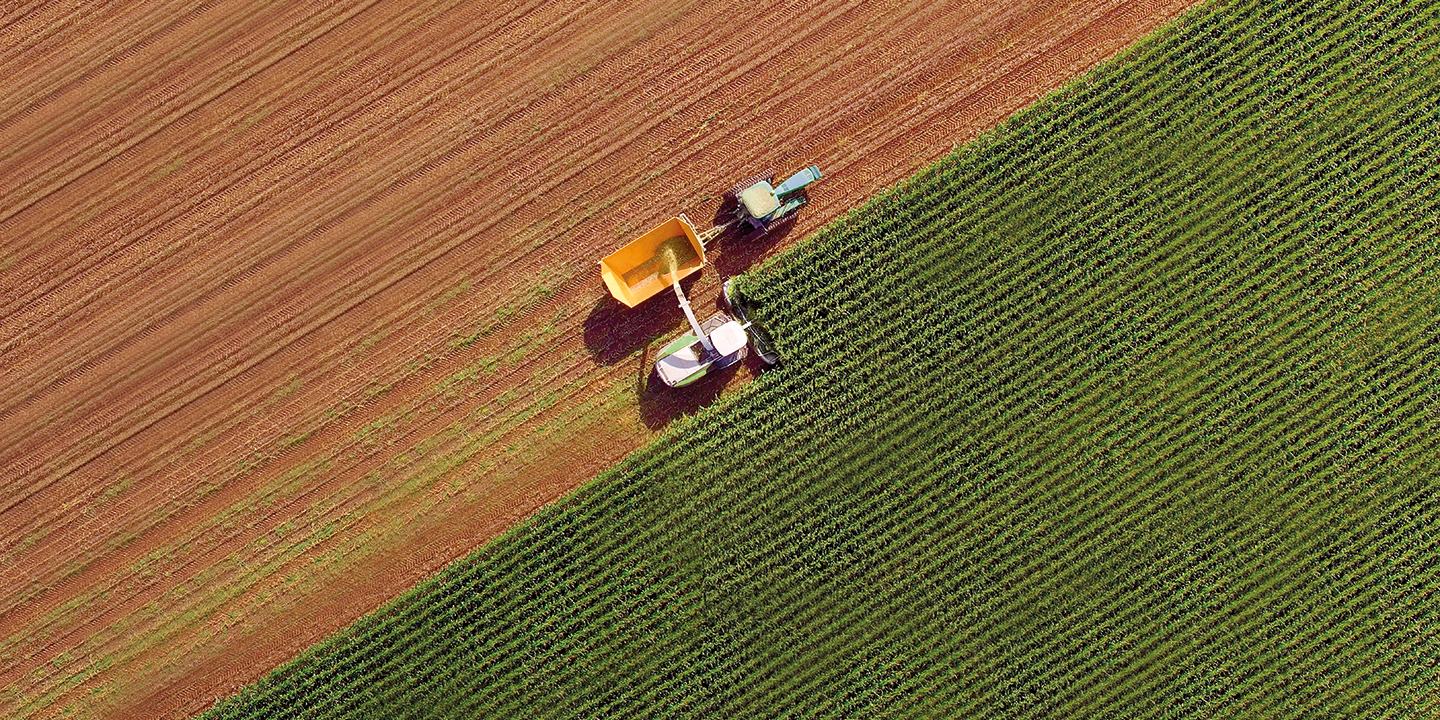 Field