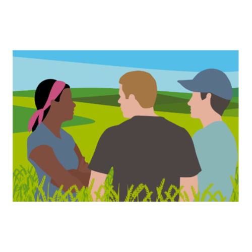 people in field