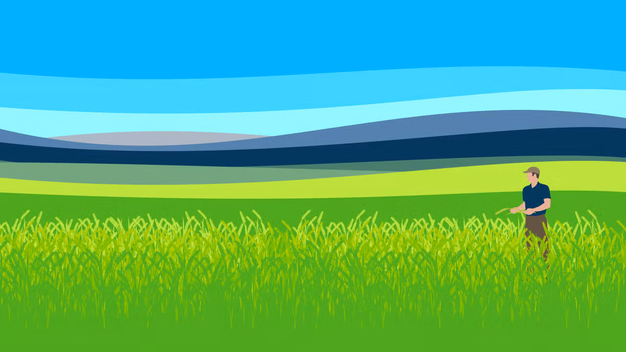 Fundatis background