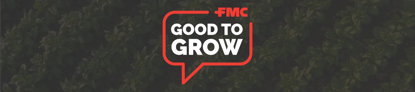 Good to Grow desktop header.