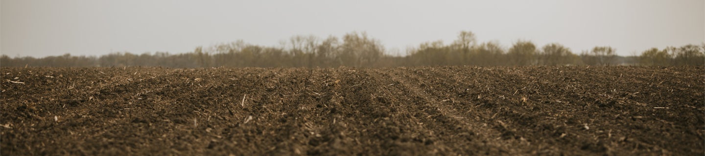 Plowed Field