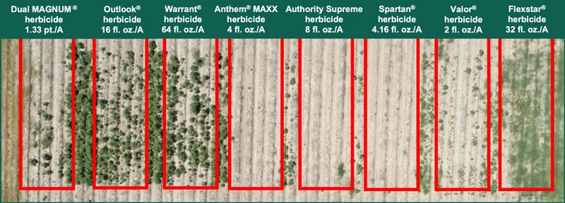Aerial photo of field comparing different herbicides' results