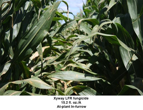 Xyway LFR fungicide trial data