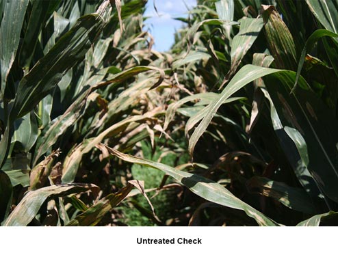 Untreated Check trial data