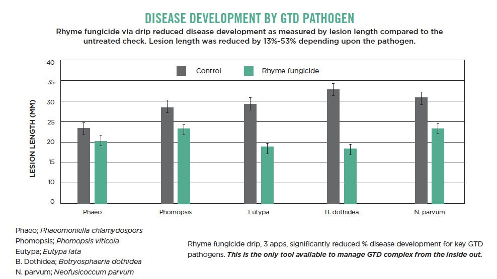 Grapevine Trunk Disease Development