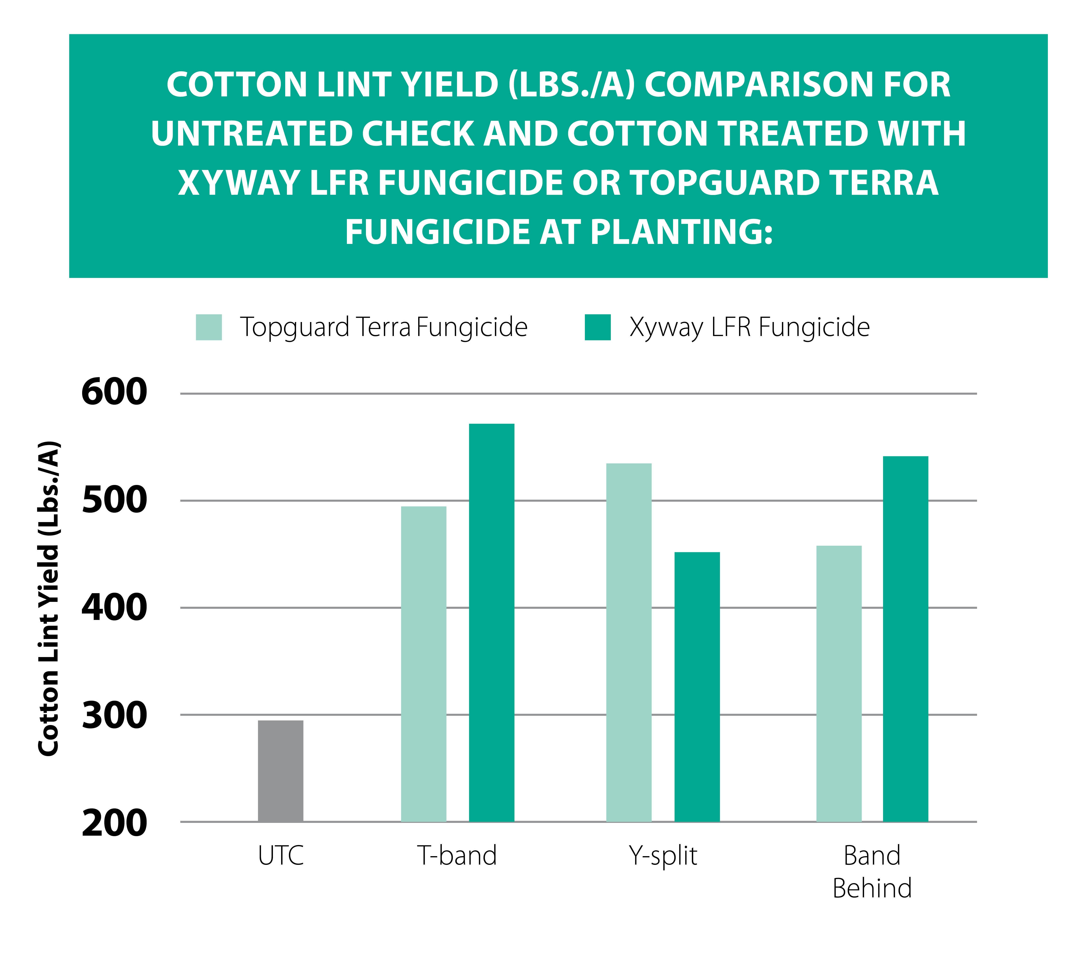 Cotton Root Rot