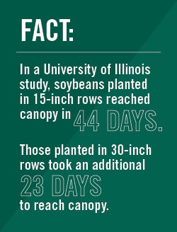 Soybean statistic