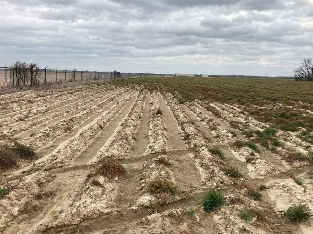 Burndown treatment on a field.