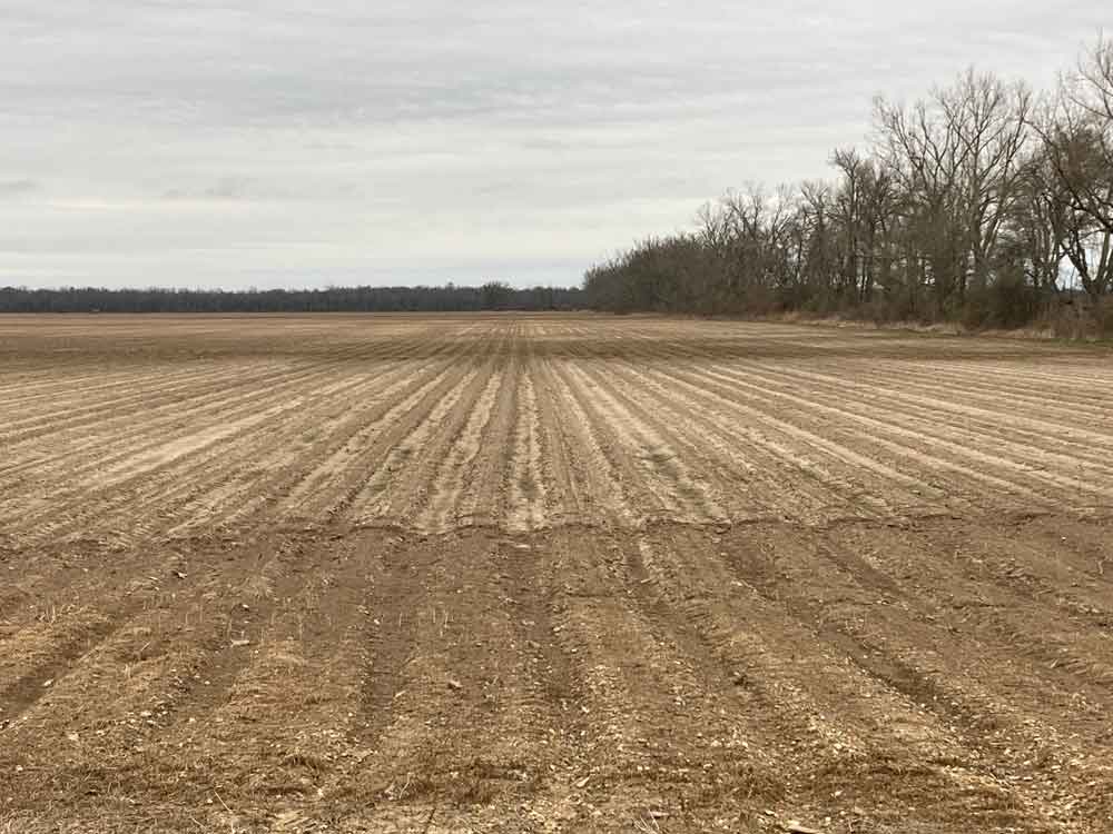 Burndown treatment on a field.