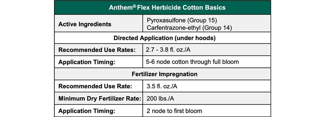 Anthem Flex Basics chart
