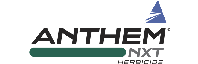 Anthem® NXT Herbicide