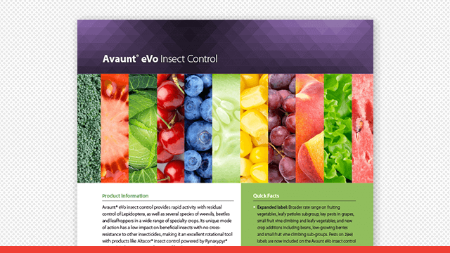 Avaunt® Evo Insect Control Fact Sheet