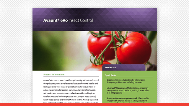 Avaunt Evo Insect Control Tomato Fact Sheet