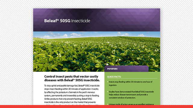 Beleaf® 50SG Insecticide Potato Fact Sheet