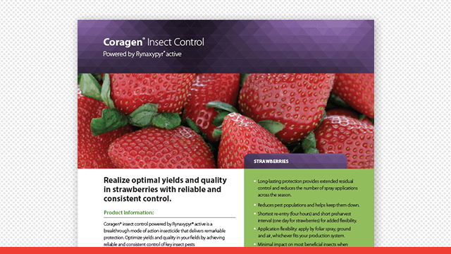 Coragen Insect Control Strawberry Fact Sheet