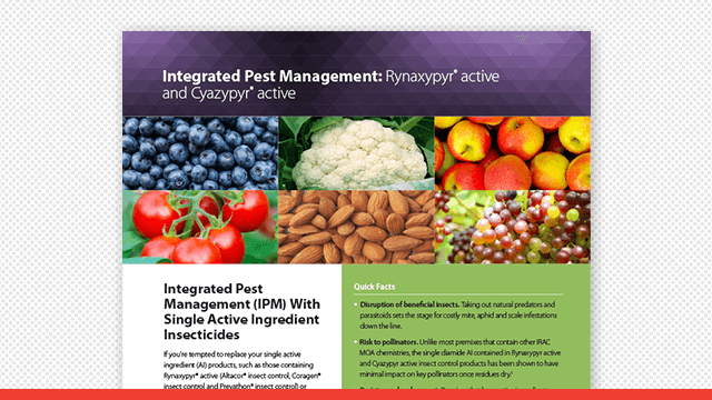 IPM Fact Sheet