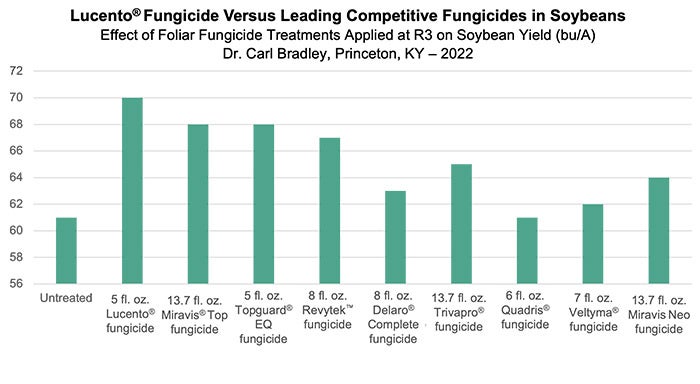 Lucento vs. Competitors Graph