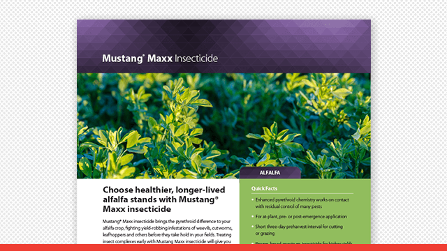 Mustang Maxx Insecticide Alfalfa Fact Sheet