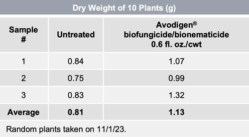 Table comparing dry weight of 10 plants between untreated and Avodigen® biofungicide/bionematicide 0.6 fl. oz./cwt