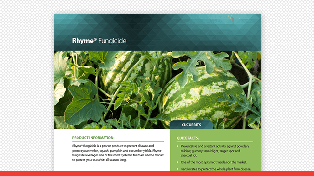 Rhyme Fungicide Cucurbits Fact Sheet