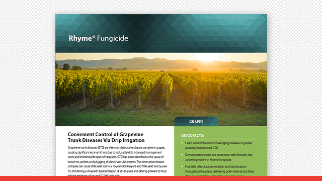 Rhyme Fungicide Grapevine Trunk Diseases Fact Sheet