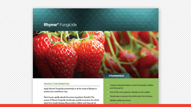 Rhyme Fungicide Strawberries Fact Sheet