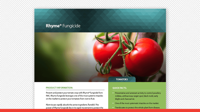 Rhyme Fungicide Tomato Fact Sheet